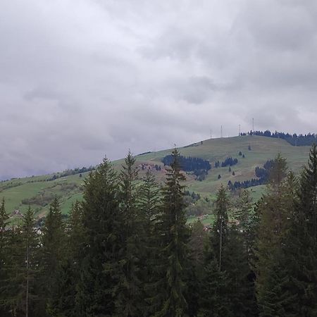 הוילה גורה הומורולווי Bucovina Sky View מראה חיצוני תמונה